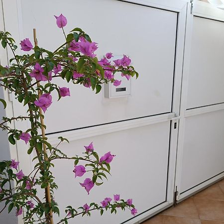 Apartman Dani Zara Esterno foto