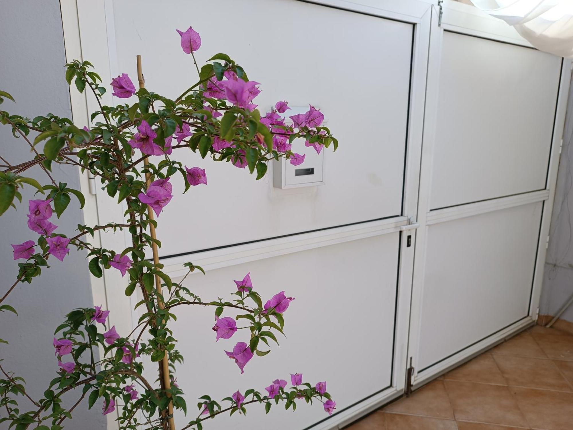 Apartman Dani Zara Esterno foto